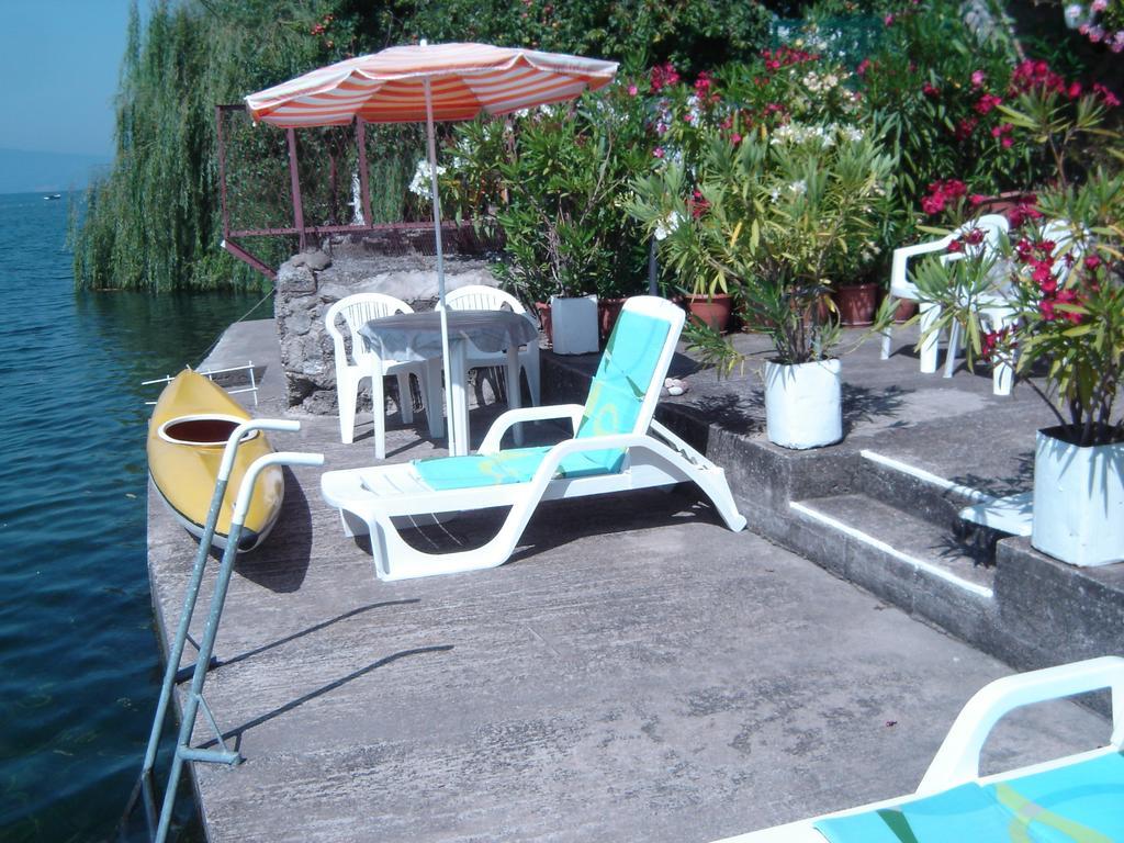 'by The Lake' Ochryda