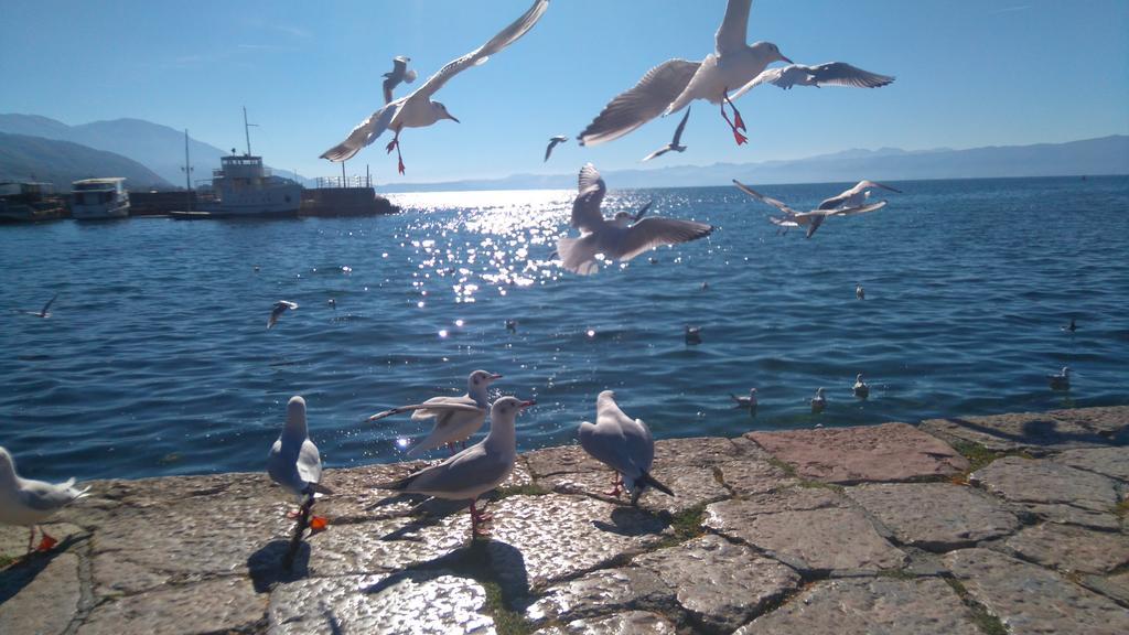 Apartament 'by The Lake' *